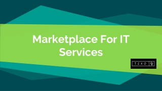 Unique IT services Marketplace in USA | Texo