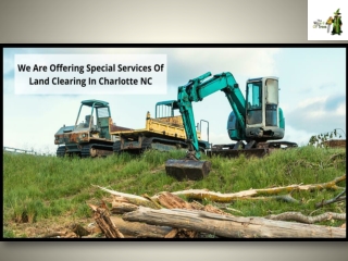We Are Offering Special Services Of Land Clearing In Charlotte NC