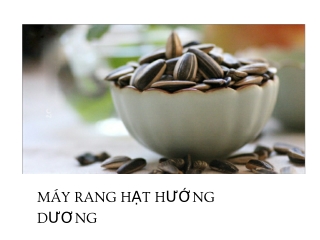 may rang hat huong duong