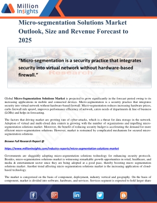 Micro-segmentation Solutions Market Outlook, Size and Revenue Forecast to 2025