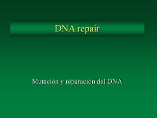 DNA repair
