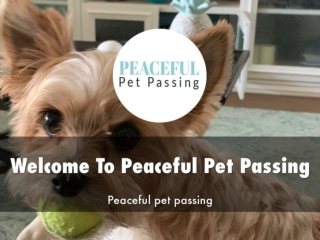 Peaceful Pet Passing Presentation 