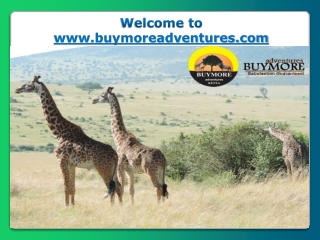 The Tips and Places for Kenya Budget Safaris