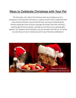 Ways to Celebrate Christmas with Your Pet