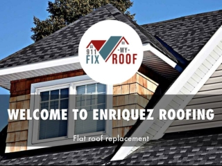 Detail Presentation About Enriquez Roofing