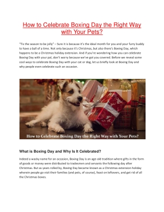 How to Celebrate Boxing Day the Right Way with Your Pets?