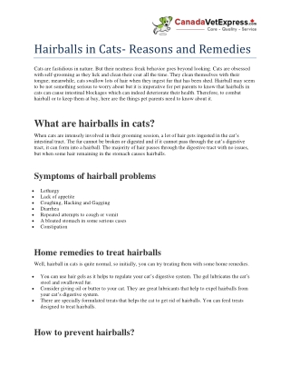 Hairballs in Cats- Reasons and Remedies - CanadaVetExpress