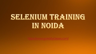 SELENIUM TRAINING IN NOIDA