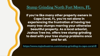 Stump Grinding North Fort Myers, FL