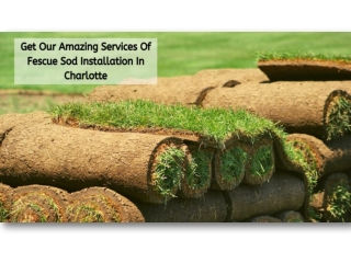 Get Our Amazing Services Of Fescue Sod Installation In Charlotte