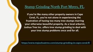 Stump Grinding North Fort Myers, FL