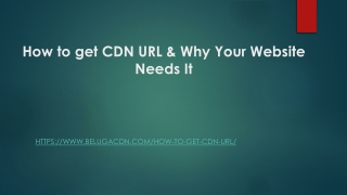 What is CDN Url | BelugaCDN