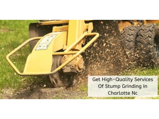 Get High-Quality Services Of Stump Grinding In Charlotte Nc