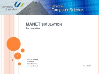 MANET simulation