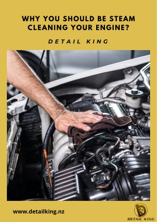 Benefits of Steam Cleaning Your Car Engine | Detail King