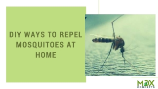 MDX Concepts - DIY Ways to Repel Mosquitoes at Home