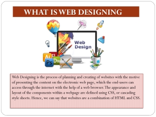 5 Simple Steps To An Effective Web Designing Training in Delhi