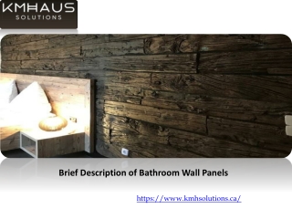 Brief Description of Bathroom Wall Panels