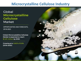 Microcrystalline Cellulose (MCC) Market Will Expand in the Coming Decade as Per Report