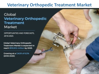 Veterinary Orthopedic Treatment Market Insights on Market Challenges and New Trends