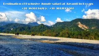 Destination of Exclusive Jungle safari at Jayanti in Dooars