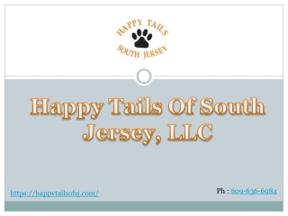 Professional Dog Training in New Jersey