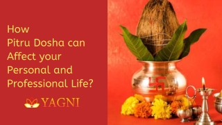 How Pitru Dosha can Affect your Personal and Professional Life?