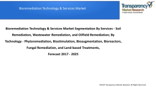 Bioremediation Technology & Services Market to be worth US$65.7 bn by 2025