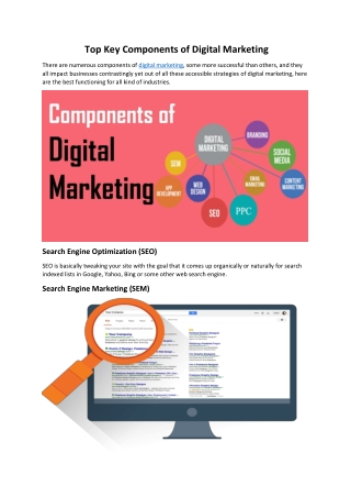 Top Key Components of Digital Marketing - Tarika Technologies