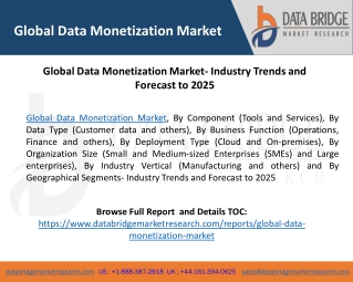 Global Data Monetization Market- Industry Trends and Forecast to 2025