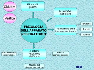 Controllo della respirazione