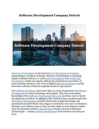 Software Development Company Detroit