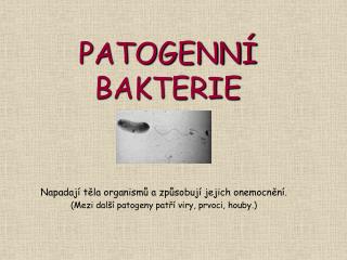 PATOGENNÍ BAKTERIE