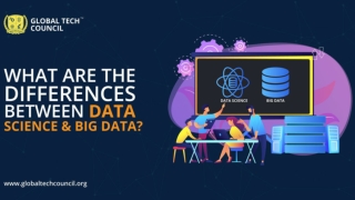 What Are the Differences Between Data Science & Big Data?