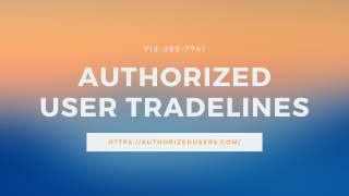 Credit Profile Number | Authorized User Tradelines