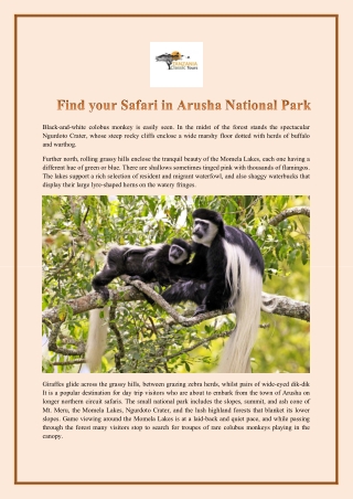 Find your Safari in Arusha National Park