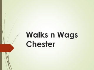 Searching for best Dog Walker in Hoole