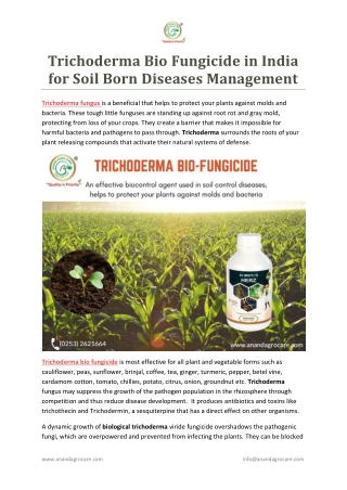Trichoderma Biofungicide in India for Soil Born Diseases Management
