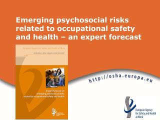 Emerging psychosocial risks related to occupational safety and health – an expert forecast