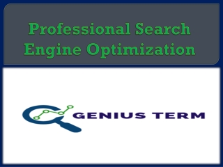 Professional Search Engine Optimization