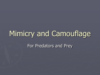 Mimicry and Camouflage