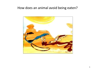 How does an animal avoid being eaten?