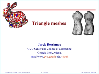 Triangle meshes