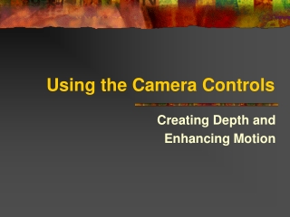 Using the Camera Controls