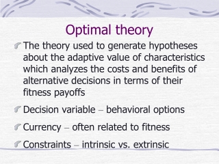 Optimal theory