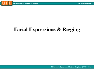 Facial Expressions &amp; Rigging