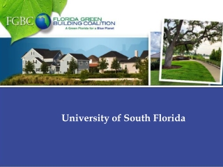 University of South Florida