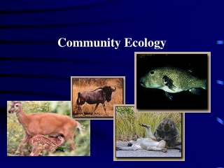 Community Ecology