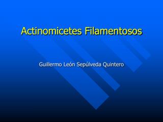 Actinomicetes Filamentosos