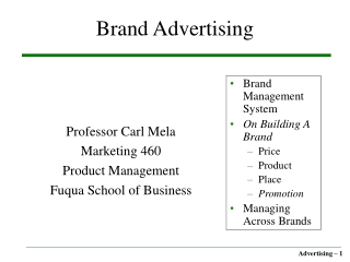 Brand Advertising